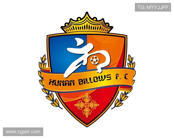 娄底队足球崛起之路：从地方俱乐部到职业赛场的成长与挑战