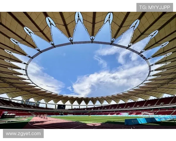 足球的全球魅力与文化传承：从草根到顶级联赛的精彩故事